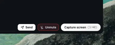 Mute and Screen Capture controls